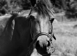 Gmail In Lead Generation: Unlock Powerful Strategies To Boost Leads