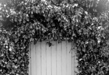 Aged Gmail Cold Emailing Secrets To Boost Your Outreach Success