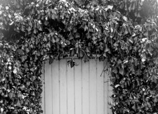 Aged Gmail Cold Emailing Secrets That Boost Your Outreach Success