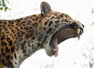 Gmail For Amazon Sellers: Unlock Powerful Tips To Boost Sales