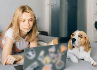 Cheap Email Providers: Which Offers The Best Value And Features?