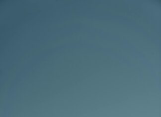 Gmail Sender Aged Credibility: Unlock Powerful Email Trust Secrets