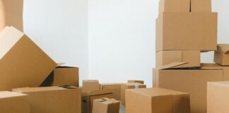 New Gmail Packs Unveiled: Discover Powerful Features You Need