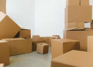 New Gmail Packs Unveiled: Discover Powerful Features You Need