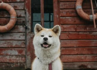 Trusted Gmail Source: How To Identify Authentic Emails Effortlessly